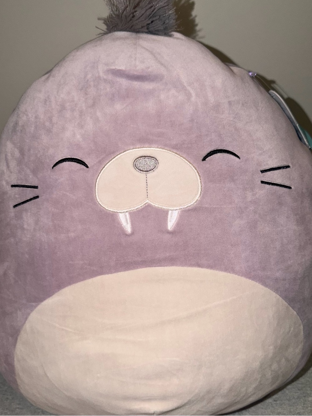 Kwame the Walrus Squishmallow